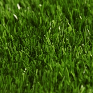 Nuteks Çim Halı Peyzaj