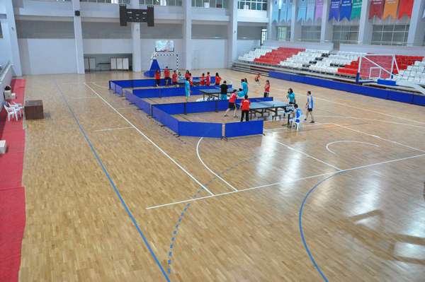 Spor Zemin Parke